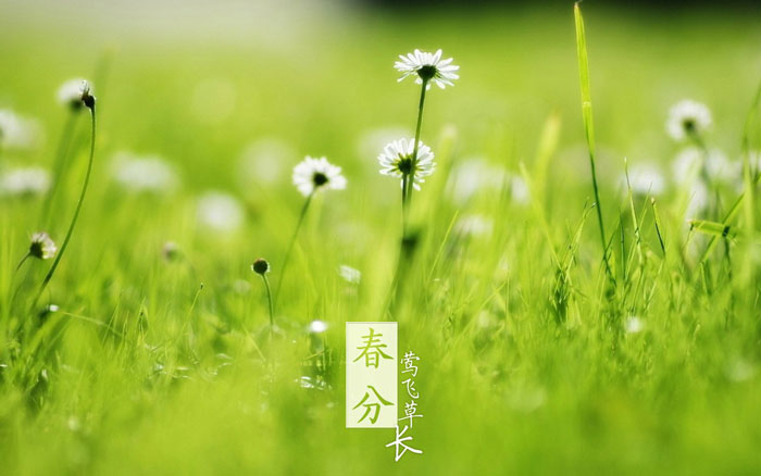 即便是春风十里，依然不如你